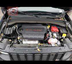 جيب رينيجيد